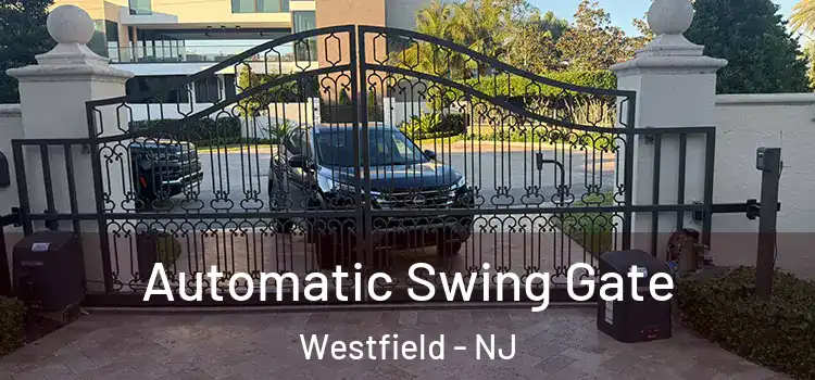  Automatic Swing Gate Westfield - NJ