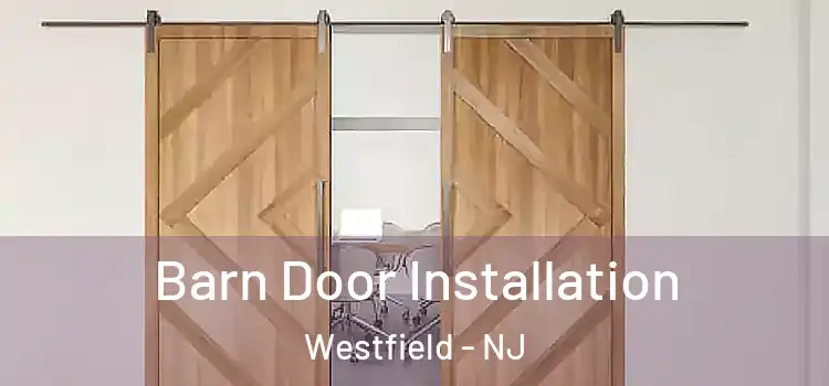  Barn Door Installation Westfield - NJ