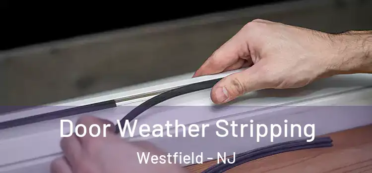 Door Weather Stripping Westfield - NJ