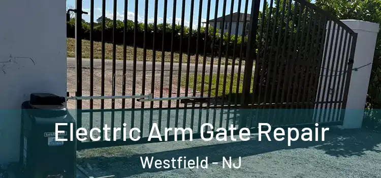 Electric Arm Gate Repair Westfield - NJ