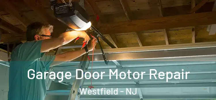  Garage Door Motor Repair Westfield - NJ