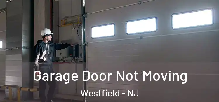  Garage Door Not Moving Westfield - NJ