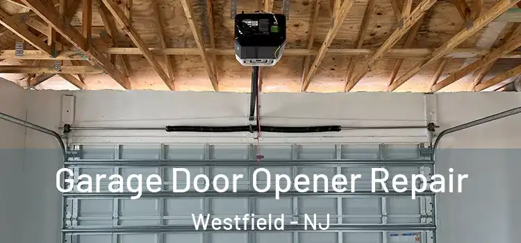  Garage Door Opener Repair Westfield - NJ
