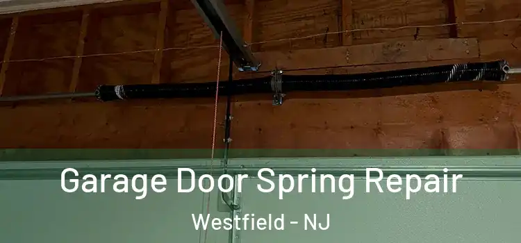  Garage Door Spring Repair Westfield - NJ