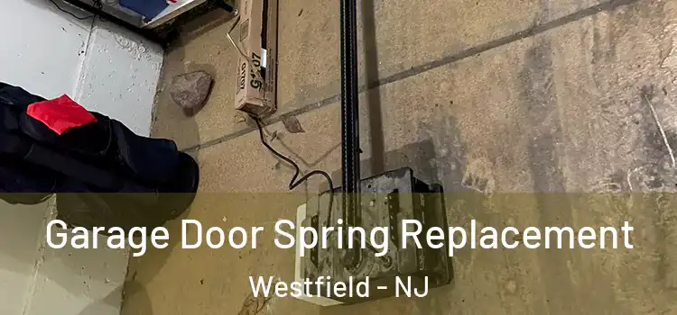  Garage Door Spring Replacement Westfield - NJ