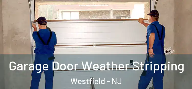  Garage Door Weather Stripping Westfield - NJ