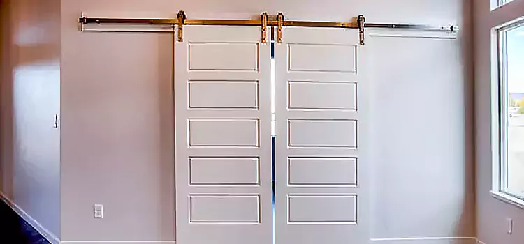 Glass Barn Door with Installation Hardware Kit Westfield