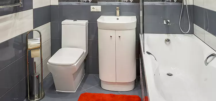 Hansgrohe Shaving Mirror Westfield