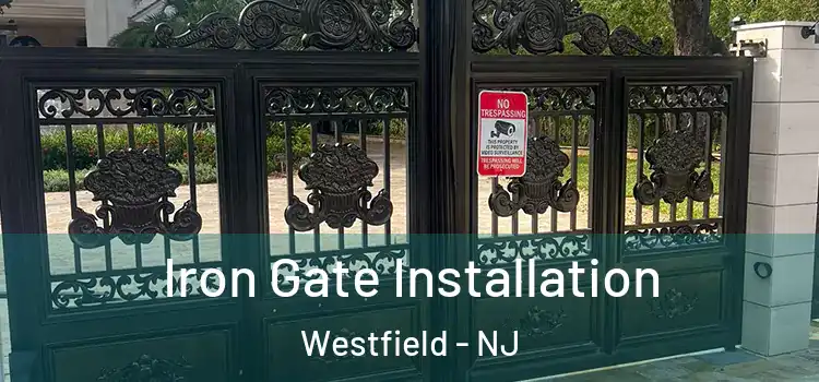 Iron Gate Installation Westfield - NJ