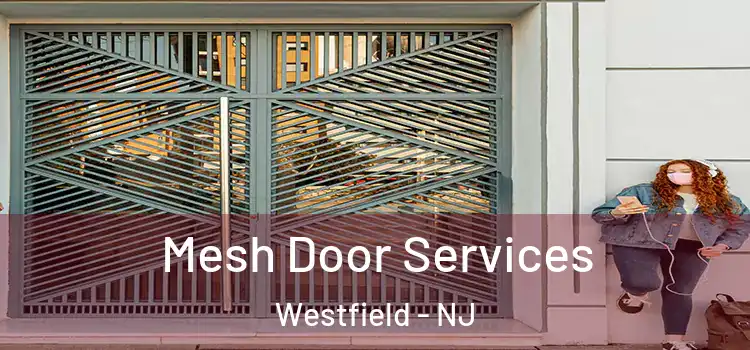Mesh Door Services Westfield - NJ