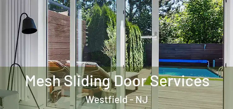 Mesh Sliding Door Services Westfield - NJ