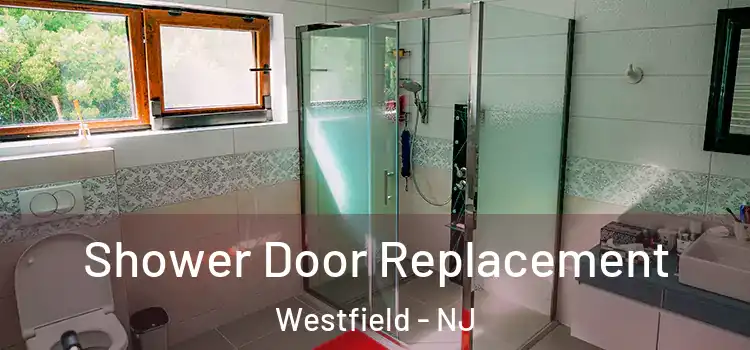 Shower Door Replacement Westfield - NJ