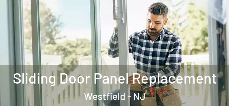  Sliding Door Panel Replacement Westfield - NJ