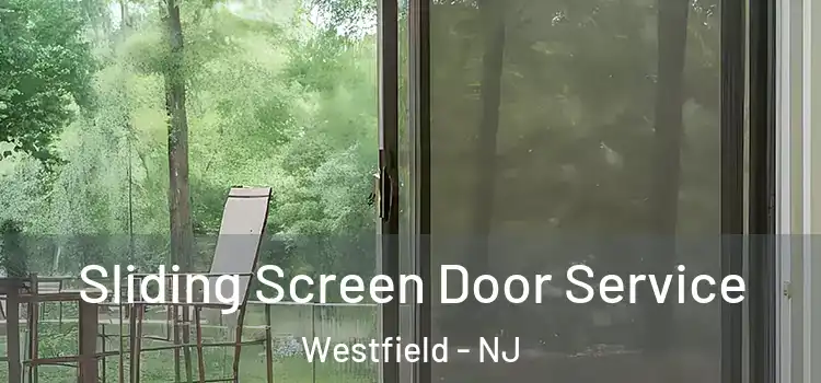 Sliding Screen Door Service Westfield - NJ